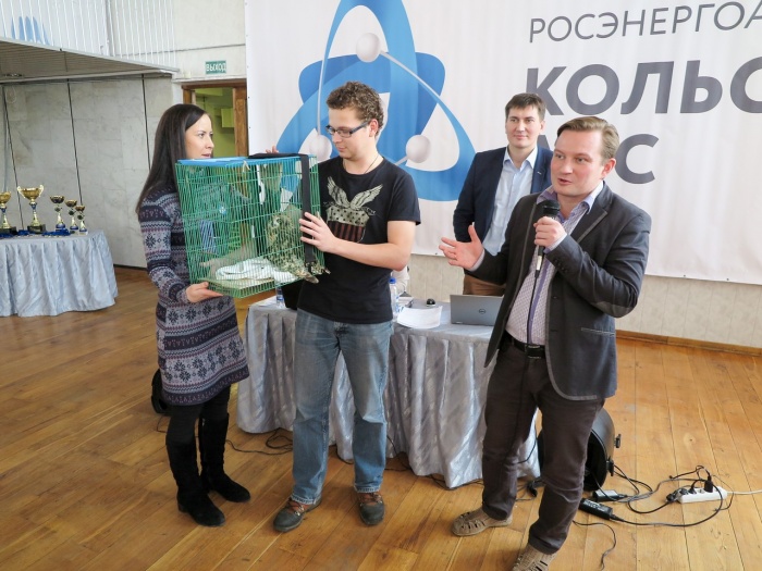 Сова в подарок Сова в подарок