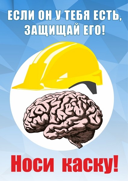 Береги мозги Береги мозги